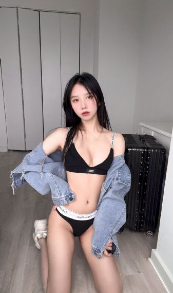 细狗免费版网页版本2